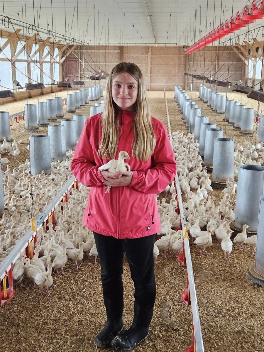 Your Ultimate Thanksgiving Turkey Buying Guide: Why Local, Humane, and Hormone-Free Matters - Heartstone Farm