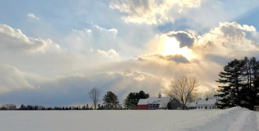 A Christmas letter from the farm - Heartstone Farm