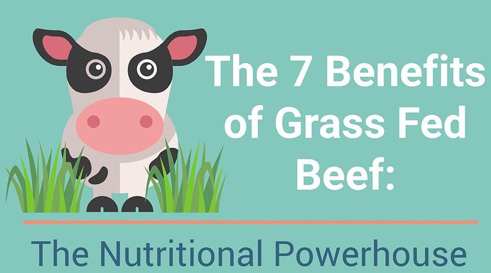 The 7 health benefits of grass fed beef - Heartstone Farm