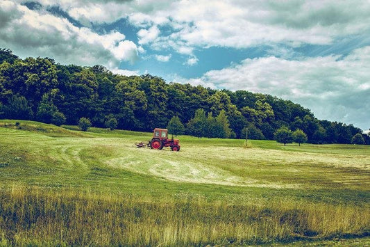 This farmer is excited about spring - Heartstone Farm