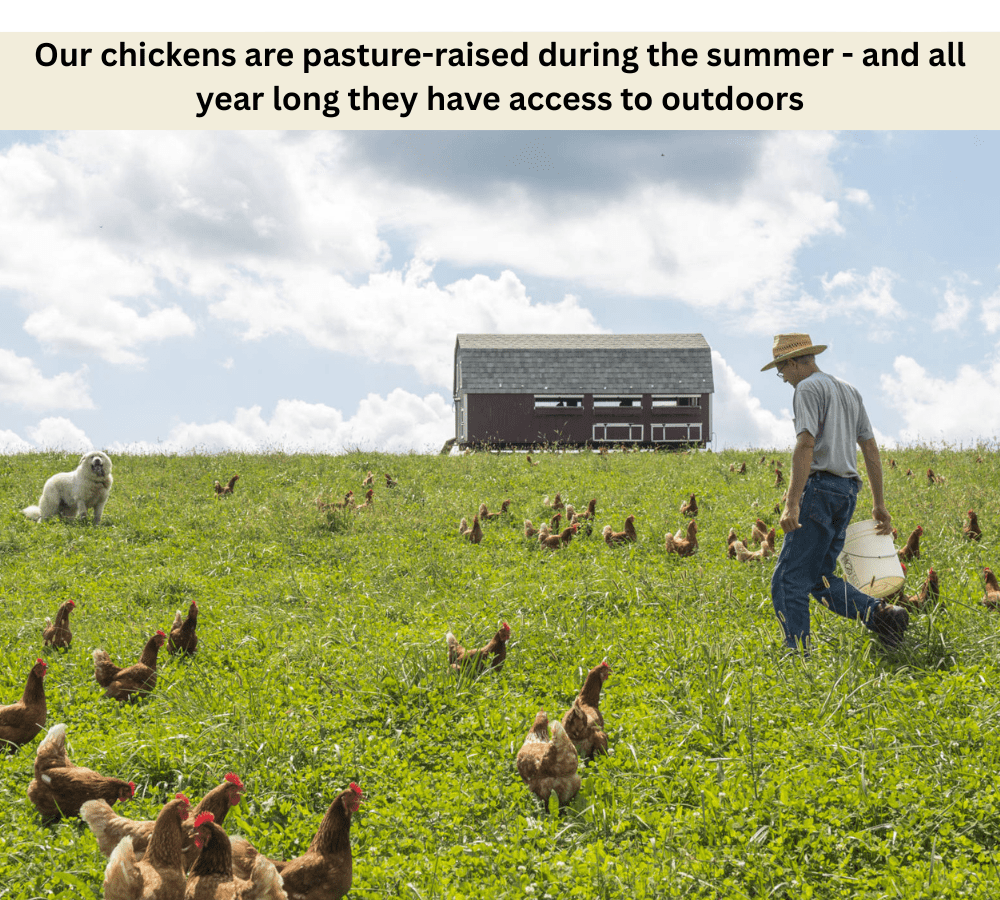 Better Chicken Box - Heartstone Farm