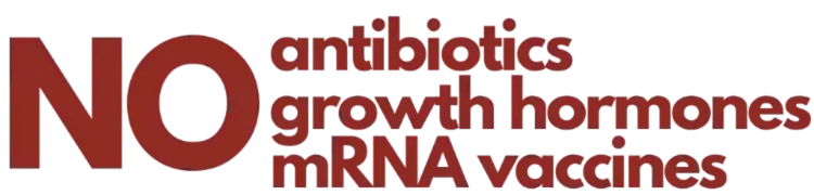 no antibiotics or growth hormones text icon