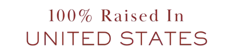 raised in united states text icon