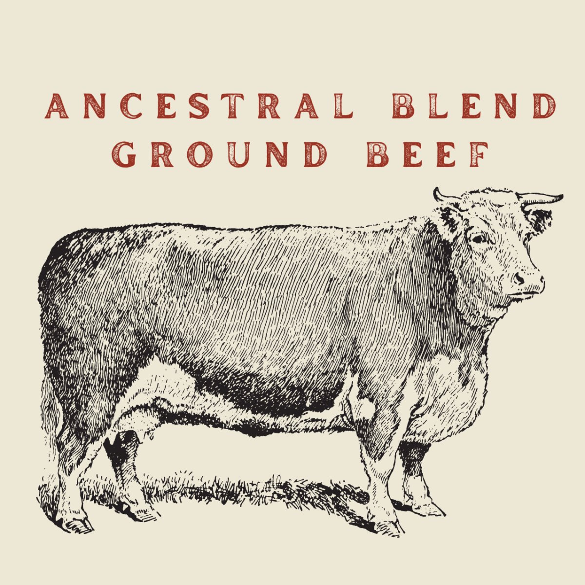 100% Grass Fed Ancestral Blend Ground Beef - Heartstone Farm