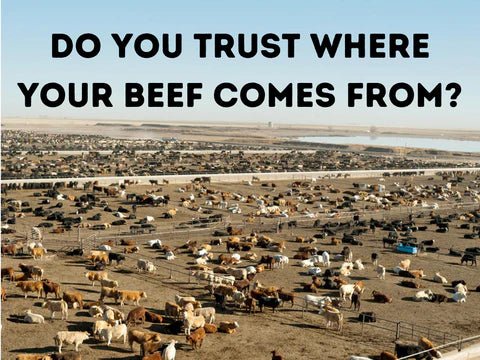 Do you trust where your meat comes from? - Heartstone Farm