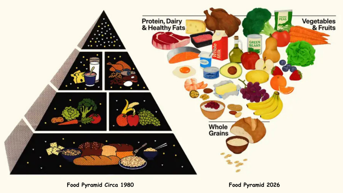 I think they (finally) got the food pyramid right - Heartstone Farm