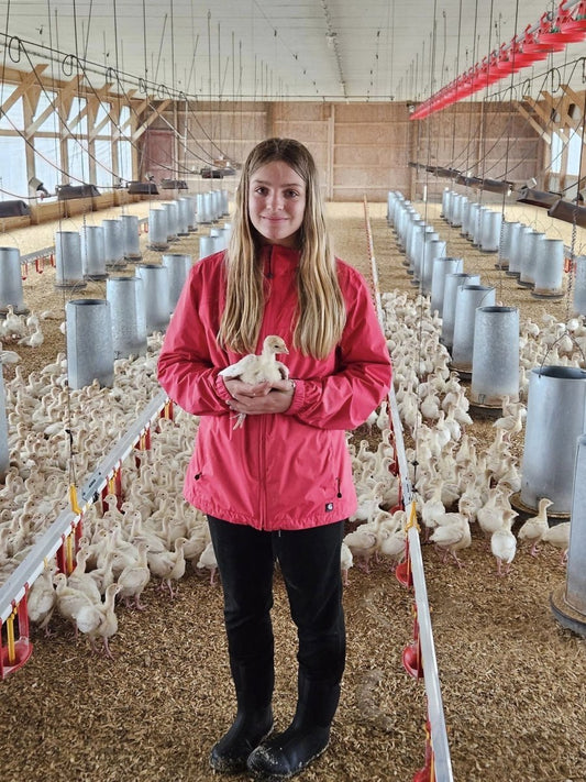 Your Ultimate Thanksgiving Turkey Buying Guide: Why Local, Humane, and Hormone-Free Matters - Heartstone Farm