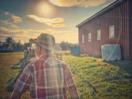 Here's what drove me to become a grassfed beef farmer - Heartstone Farm