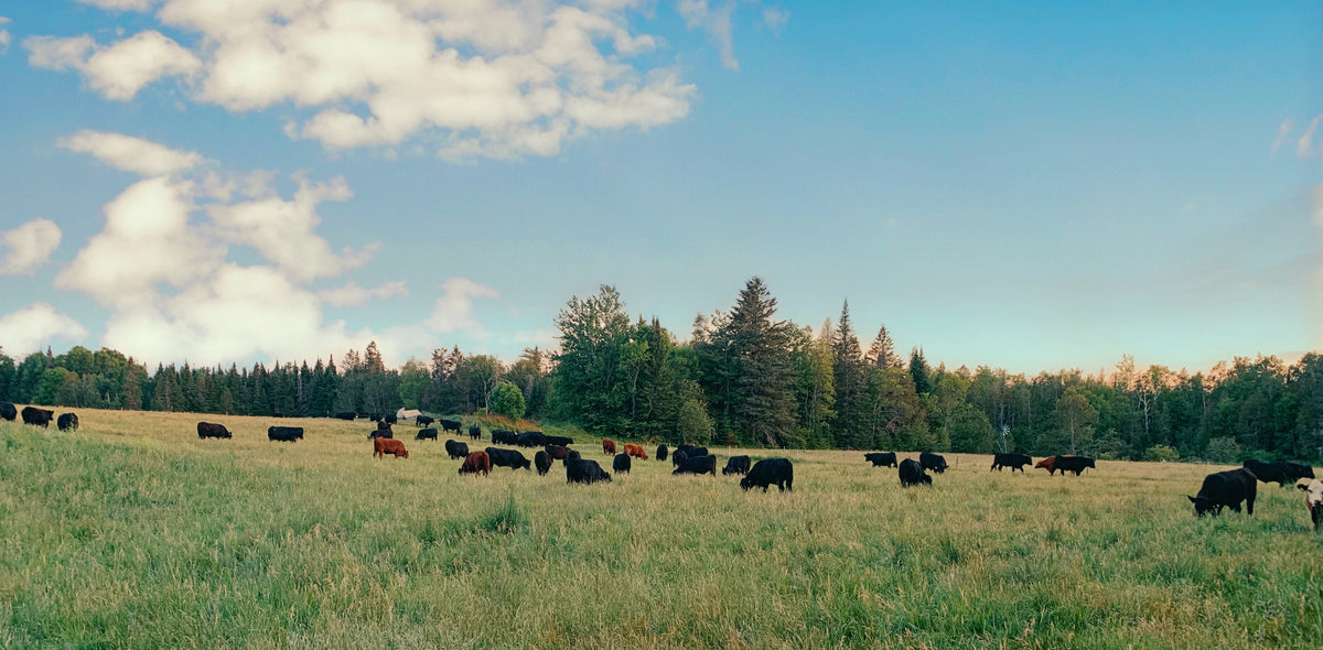 About Us | The People & Mission Behind Heartstone Farms
