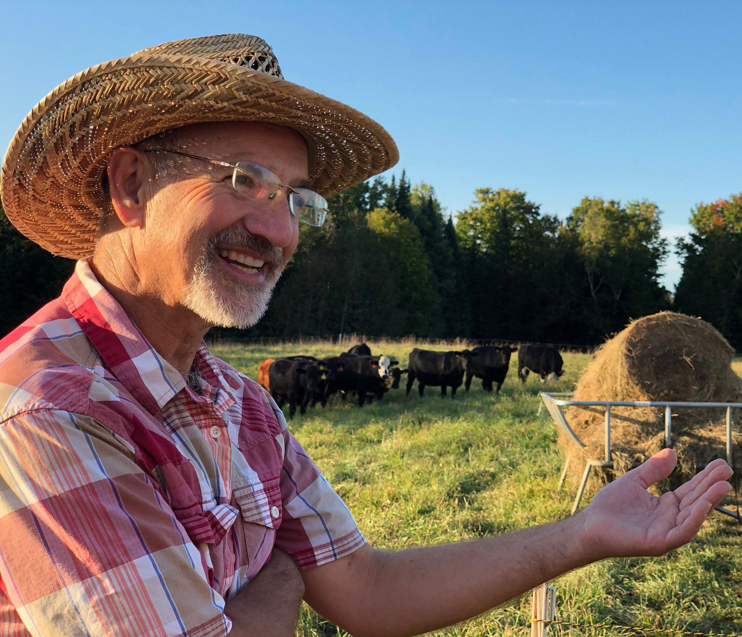 farmer dan maine raises grass fed beef