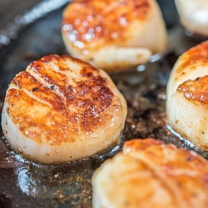 Maine Dayboat Scallops - Heartstone Farm